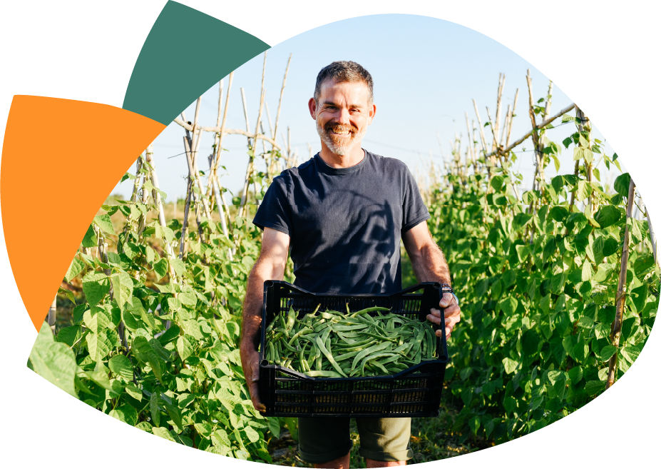 Mann auf einem Feld mit frischem Gemüse