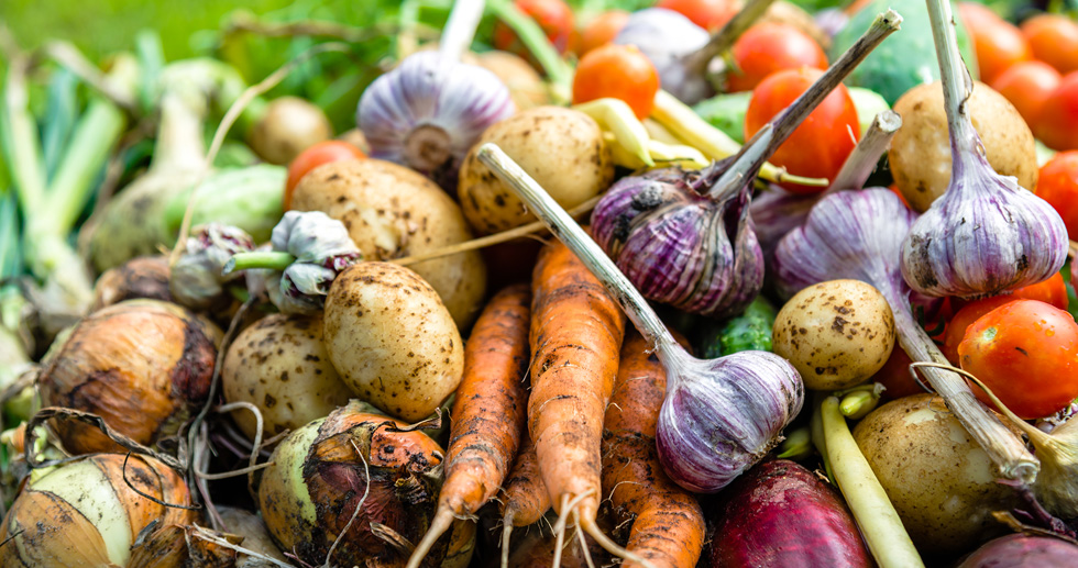 Detailaufnahme von Gemüse und Obst